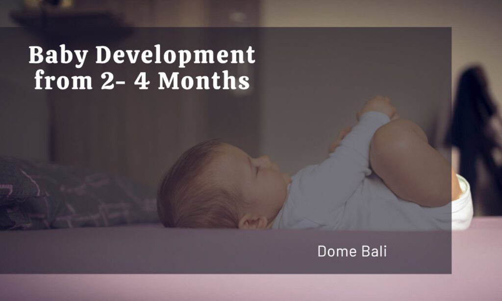 Baby Development from 2- 4 Months