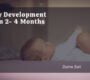 Baby Development from 2 4 Months 90x80